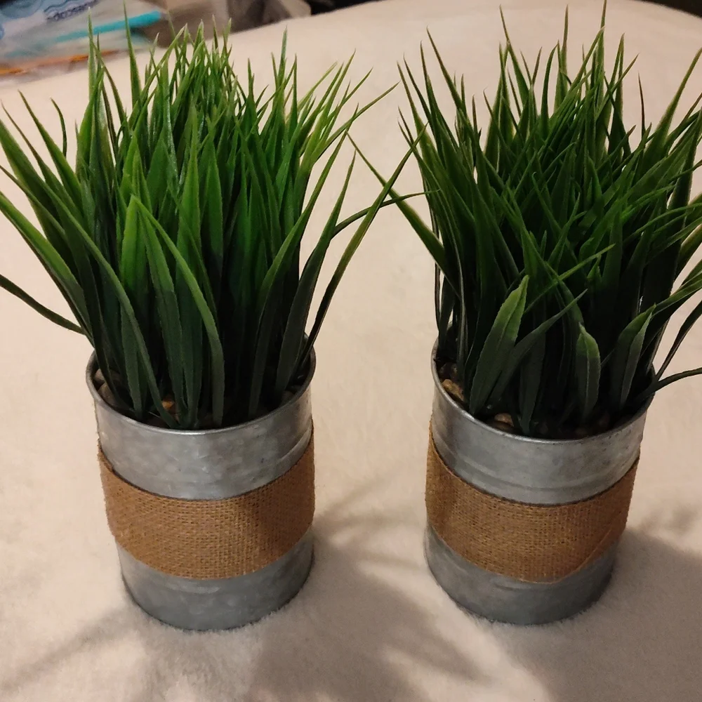 NEW! 2- Artificial Potted Grass Plants